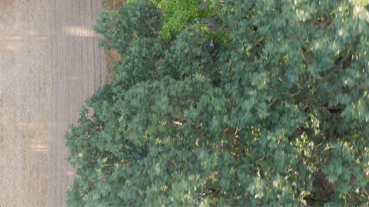 Luftaufnahme des ID. Buzz beim Fahren auf einer Landstraße durch den Wald