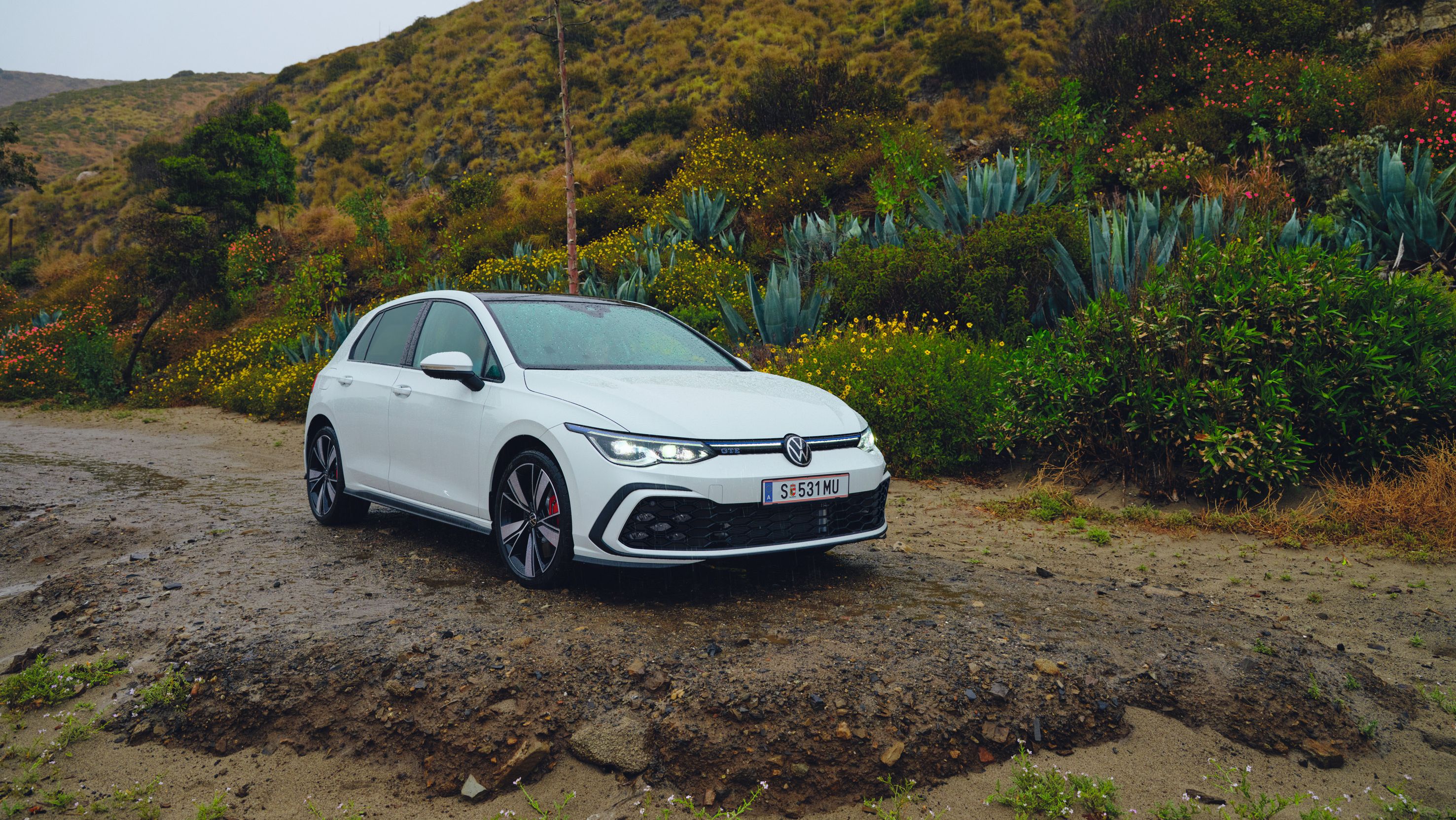 VW Golf GTE in Landschaft